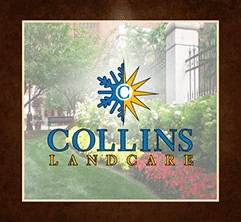 Collins Landcare Logo - Base